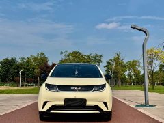 BYD Dolphin Glory Edition 420km Fashion Version - ფოტო 2