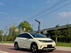 BYD Dolphin Glory Edition 420km Fashion Version - ფოტო 3