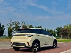 BYD Dolphin Glory Edition 420km Fashion Version - ფოტო 7