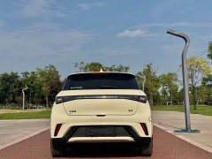 BYD Dolphin Glory Edition 420km Fashion Version - ფოტო 8