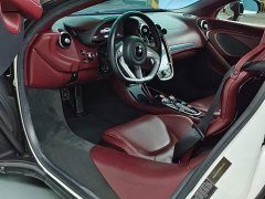 McLaren GT 2019 4.0T Standard - ფოტო 15