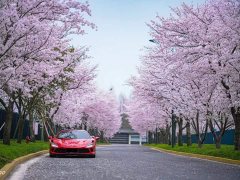 Ferrari F8 2019 Tributo 3.9T V8 - ფოტო 3