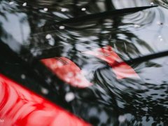 Ferrari F8 2019 Tributo 3.9T V8 - ფოტო 4