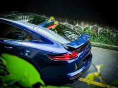 Porsche Panamera Executive Extended Wheelbase 2.9T - ფოტო 5