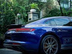 Porsche Panamera Executive Extended Wheelbase 2.9T - ფოტო 6