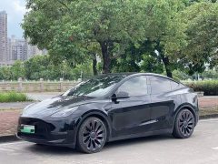 Tesla Model Y Performance All-Wheel Drive - ფოტო 1