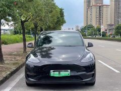 Tesla Model Y Performance All-Wheel Drive - ფოტო 2