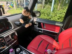Mercedes-Benz Mercedes-AMG G 63 - ფოტო 8