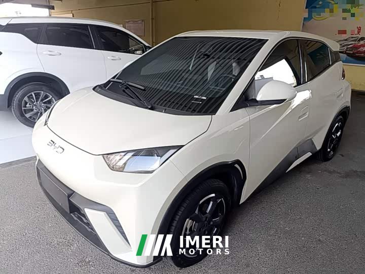 BYD Seagull 2023 Freedom Edition - ავტომობილი ჩინეთიდან
