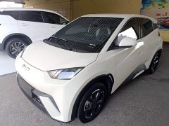 BYD Seagull 2023 Freedom Edition - ფოტო 1