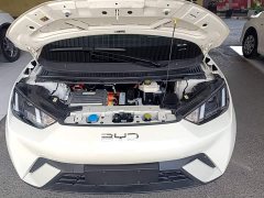 BYD Seagull 2023 Freedom Edition - ფოტო 20