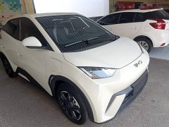 BYD Seagull 2023 Freedom Edition - ფოტო 4