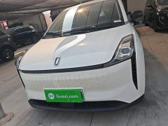 FAW Besturn NAT 2023 PRO Comfort Travel Edition 425km - ფოტო 3