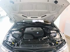 BMW 3 Series Facelift 325Li M Sport Package - ფოტო 20