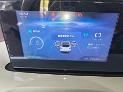 Wuling Binguo 333km Joy Edition - ფოტო 12
