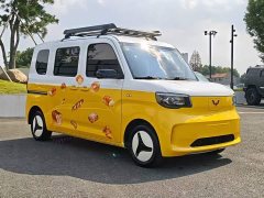 Wuling Zhiguang New Energy 201km Standard - ფოტო 4