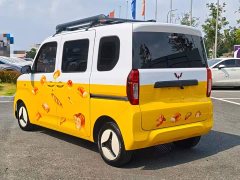 Wuling Zhiguang New Energy 201km Standard - ფოტო 5