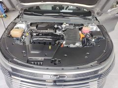 BYD Destroyer 05 DM-i 55KM Luxury - ფოტო 20