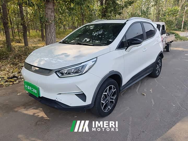 BYD Yuan Pro 2021 401KM Deluxe - ავტომობილი ჩინეთიდან