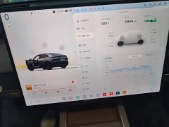 Nio Lerado L60 2024 60kWh Rear-Wheel Drive - ფოტო 12