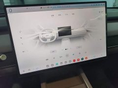 Nio Lerado L60 2024 60kWh Rear-Wheel Drive - ფოტო 13