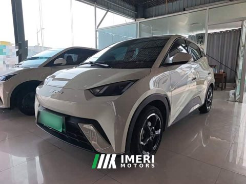 2024 BYD Seagull 2023 Freedom Edition - ავტომობილი ჩინეთიდან