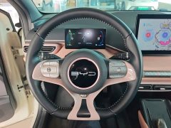 BYD Seagull 2023 Freedom Edition - ფოტო 11