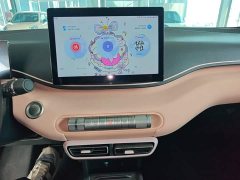 BYD Seagull 2023 Freedom Edition - ფოტო 13
