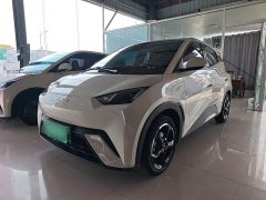 BYD Seagull 2023 Freedom Edition - ფოტო 2