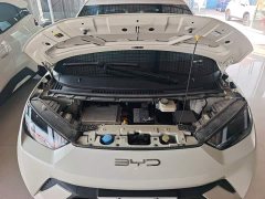 BYD Seagull 2023 Freedom Edition - ფოტო 20