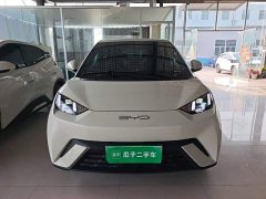 BYD Seagull 2023 Freedom Edition - ფოტო 3