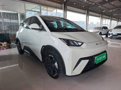 BYD Seagull 2023 Freedom Edition - ფოტო 4