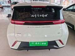 BYD Seagull 2023 Freedom Edition - ფოტო 6