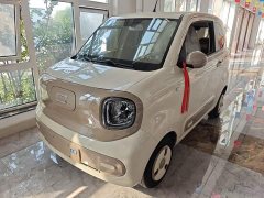 FAW Besturn Xiaoma 2026 222km Shining Edition - ფოტო 2
