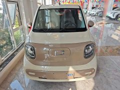 FAW Besturn Xiaoma 2026 222km Shining Edition - ფოტო 3