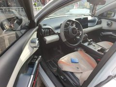 BYD Yuan Plus 430KM Luxury - ფოტო 14