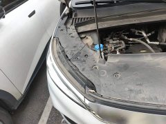 BYD Yuan Plus 430KM Luxury - ფოტო 19