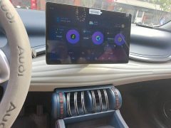 BYD Yuan Plus 430KM Luxury - ფოტო 6