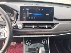 Chery Tiggo 8 2020 1.5TCI Auto Special Edition 7-seater - ფოტო 13