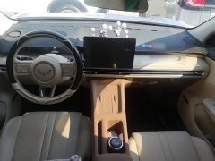 Wuling Bingo S 430km Flagship - ფოტო 10