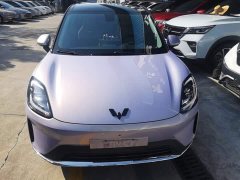 Wuling Bingo S 430km Flagship - ფოტო 3