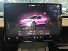 Tesla Model 3 2022 Rear-Wheel Drive - ფოტო 13