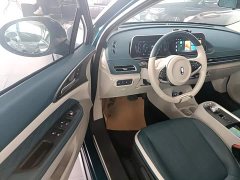 ORA Good Cat 400km Standard Range Venus Edition LFP Battery - ფოტო 16