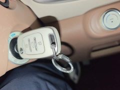 Wuling Hongguang MINIEV Fourth Generation Four-Door Advanced Edition - ფოტო 14