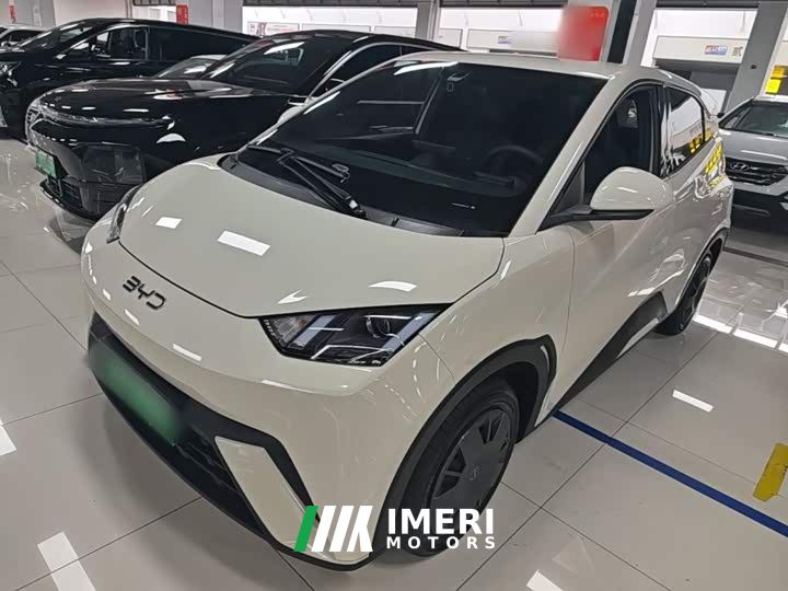 BYD Seagull Glory Edition 305km Vitality Version