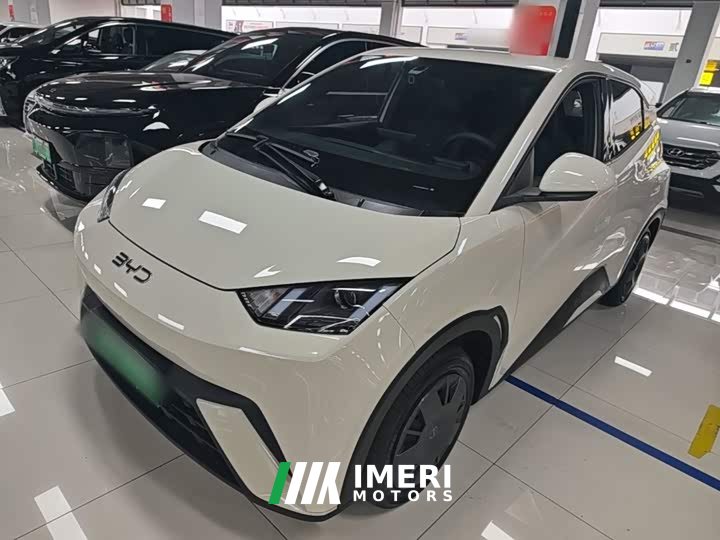 BYD Seagull Glory Edition 305km Vitality Version