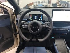BYD Seagull Glory Edition 305km Vitality Version - ფოტო 11