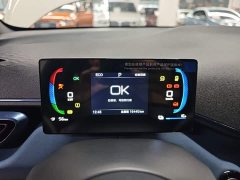 BYD Seagull Glory Edition 305km Vitality Version - ფოტო 12