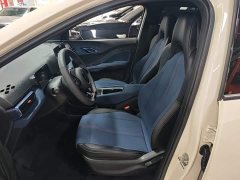 BYD Seagull Glory Edition 305km Vitality Version - ფოტო 15