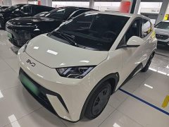 BYD Seagull Glory Edition 305km Vitality Version - ფოტო 2